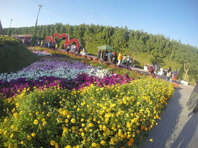 Where Dreams Bloom: Dubai Miracle Garden 🇦🇪