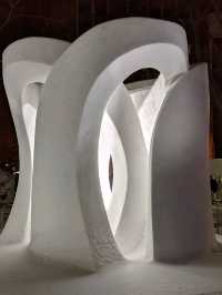 Epic Ice Sculptures✨