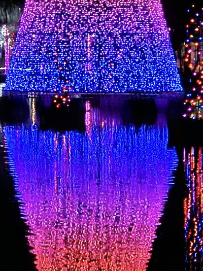 三香見 クリスマスデザイン PHOENIX Phoenix Zoo offers sensory-friendly Zoolights | 12news.com