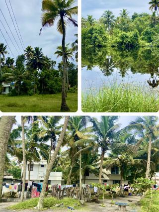 喀塔卡利與文化之夜