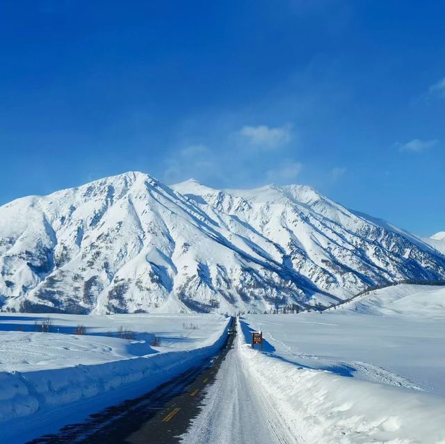 A new year calls for a new adventure!