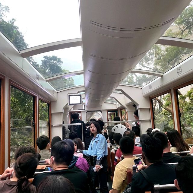 乘六代山頂纜車 賞百萬維港夜景