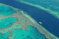 The perfect Great Barrier Reef.