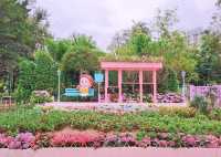 Hong Kong Flower Appreciation | Nanchang's Pink Check-in Bus Stop Surprises