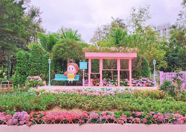 Hong Kong Flower Appreciation | Nanchang's Pink Check-in Bus Stop Surprises