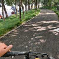 Cycle de Bund