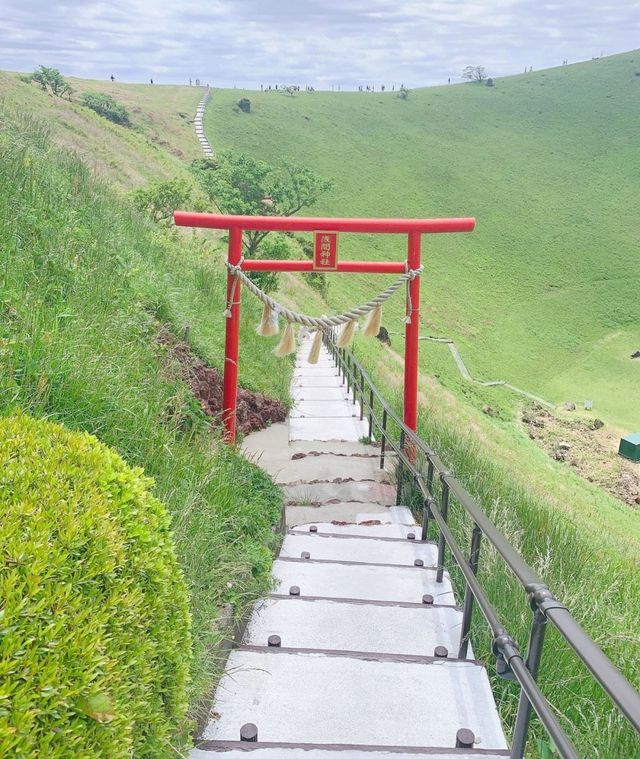 日本大室山——每年都要燒一遍火，一生必去打卡