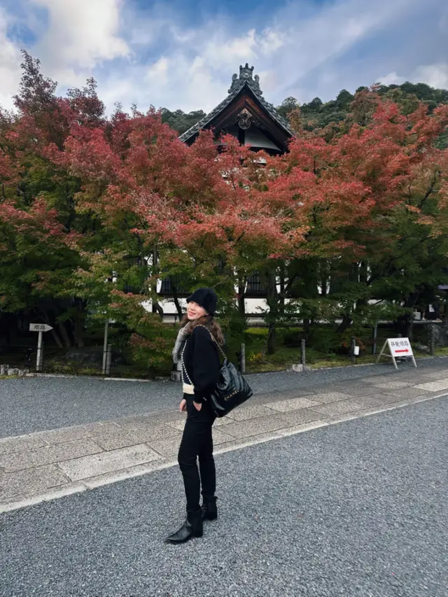 京都の紅葉祭り永観堂