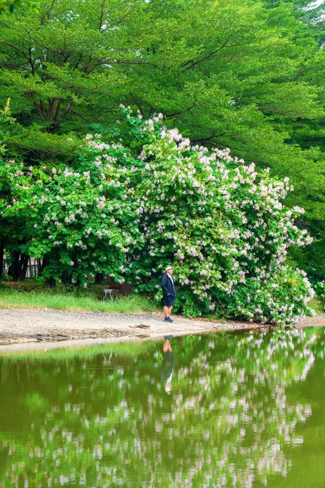 避開人從眾，廣州小眾森林湖畔露營地