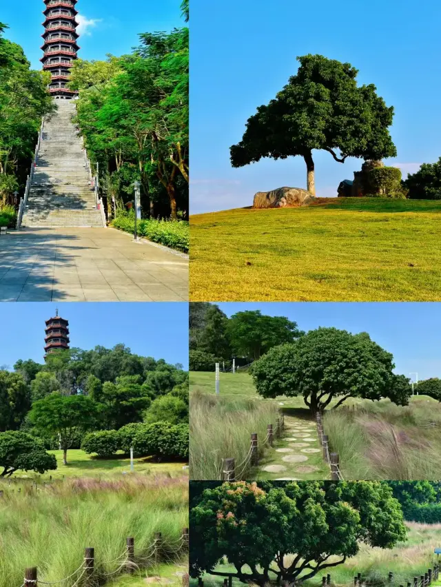 深圳指南深圳指南紅花山公園