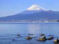 🌸 Exploring Hakone - A Once-in-a-Lifetime Adventure! 🗻