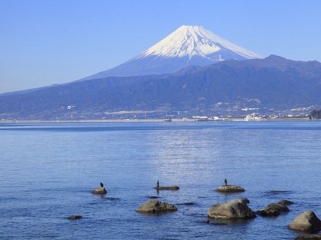 🌸 Exploring Hakone - A Once-in-a-Lifetime Adventure! 🗻