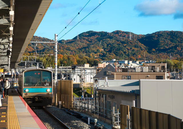 東京-鎌倉-箱根-京都-奈良-大阪