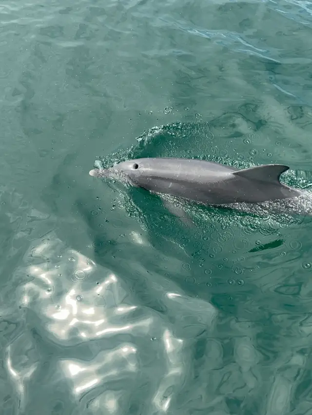 Sydney Backyard Jervis BayBlue Coast