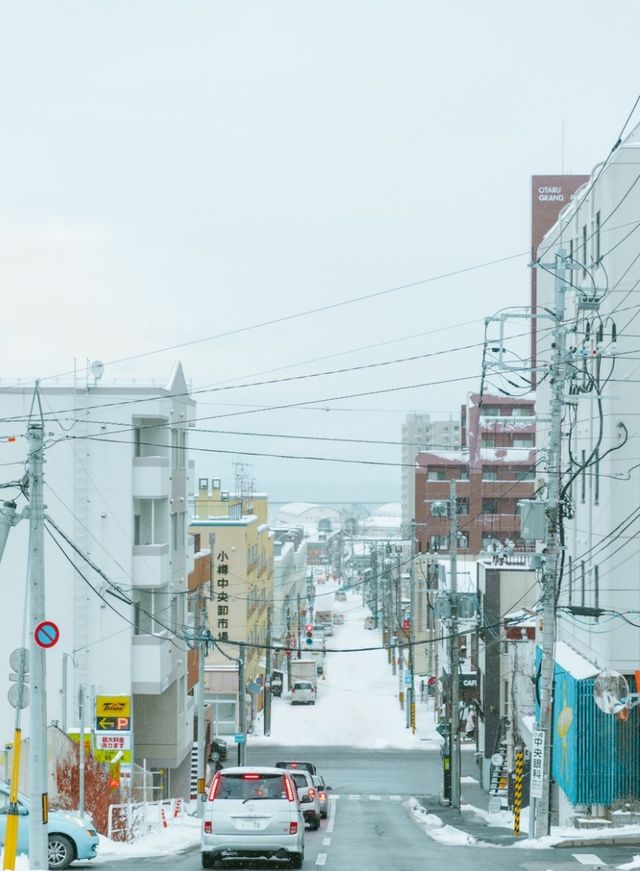 東京最強的自由行攻略，看這篇就夠了