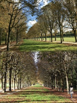 A must-visit in France is the Fontainebleau Forest, immersing yourself in the world of oil painting