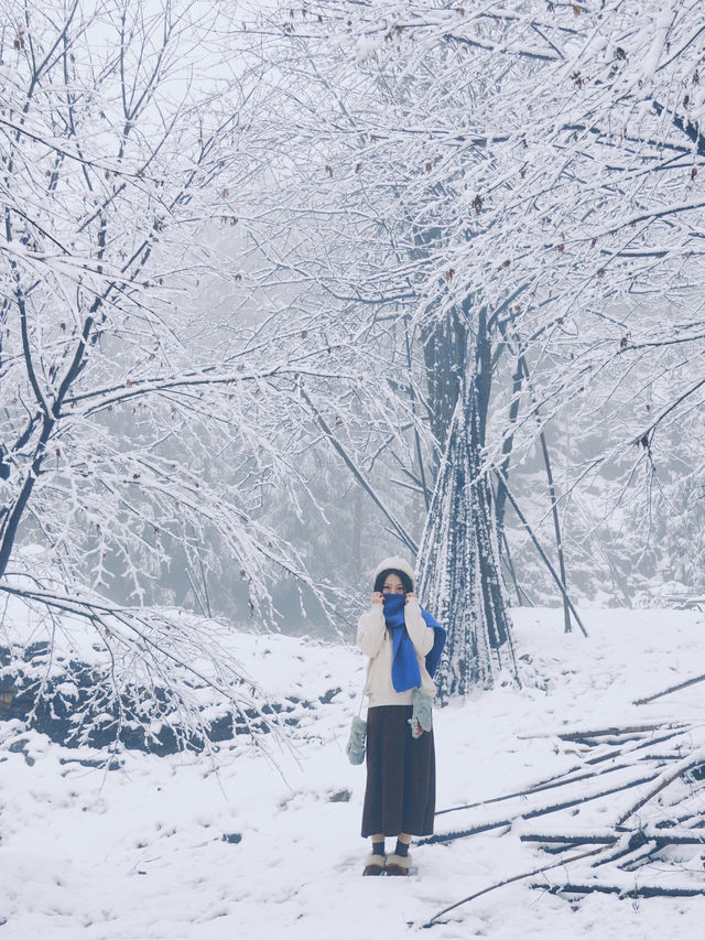 不是哈爾濱去不起，西嶺雪山玩雪更有性價比