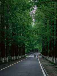 低碳自然銅山湖半日遊