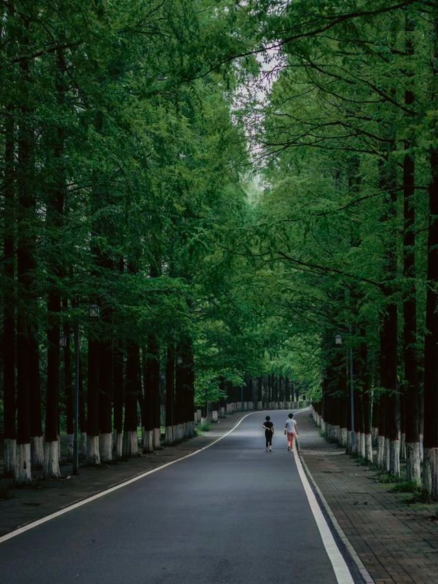 低碳自然銅山湖半日遊