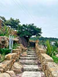 福建石岩植物園復活島的搬到國內了
