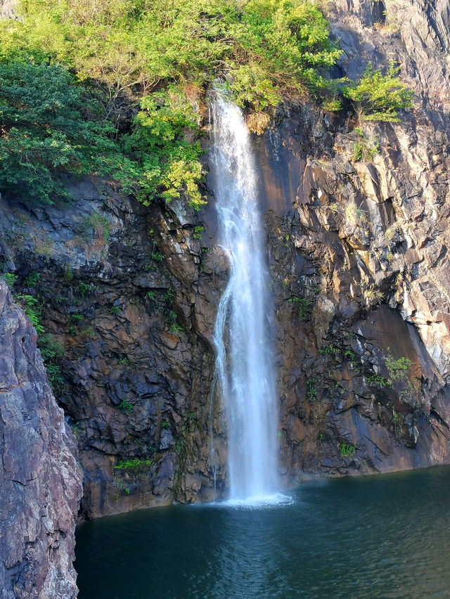 請收下這篇：辰山植物園遊園指南