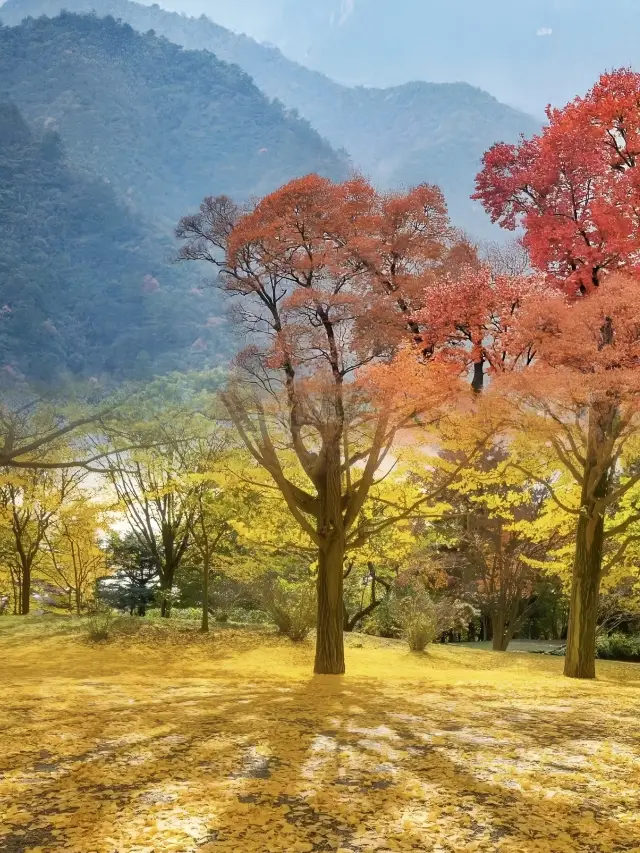 一定一定要抓住秋天的尾巴呦