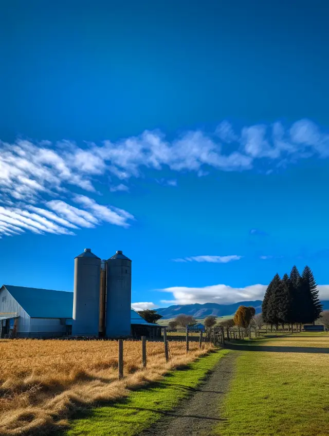 The beauty of New Zealand, you will understand only when you experience it personally~
