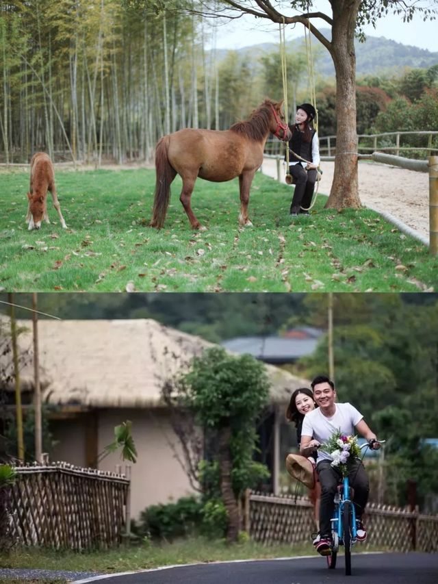 坐擁16000㎡草坪、400畝茶園，馬術、萌寵餵養嗨玩不停！