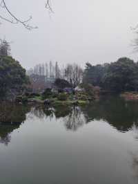2024年杭州梅花盛開｜分享一個美麗的花地