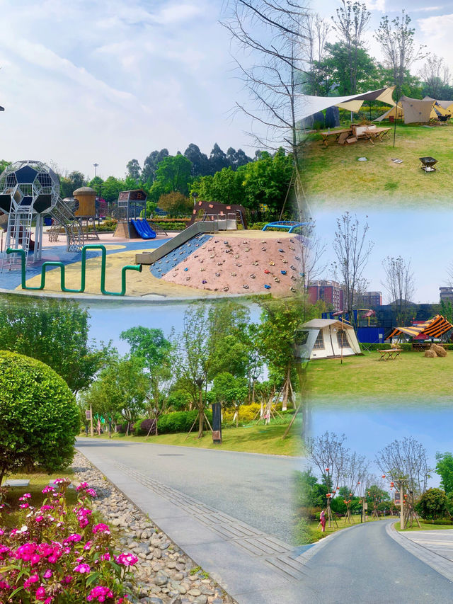 成都 天府芙蓉園 ｜去有風的地方，成都的後花園