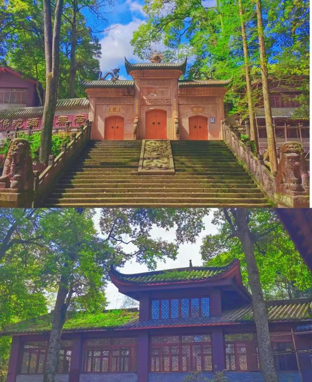 雨城雅安|爬天梯、遊古寺，一起森呼吸