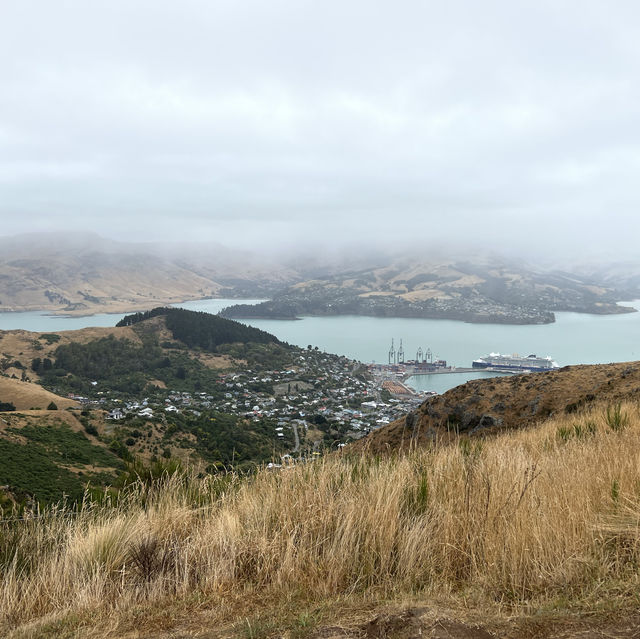 Explore City and Nature in Christchurch!