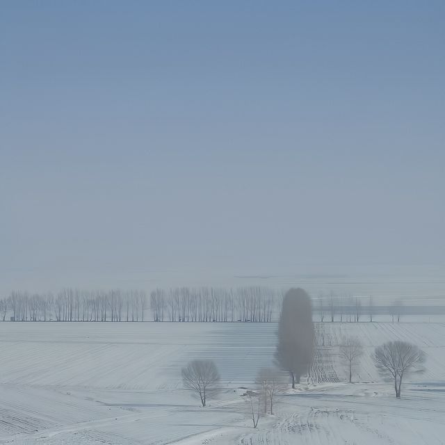 烏蘭察布 | 內蒙古雪源獨享整片小眾仙境