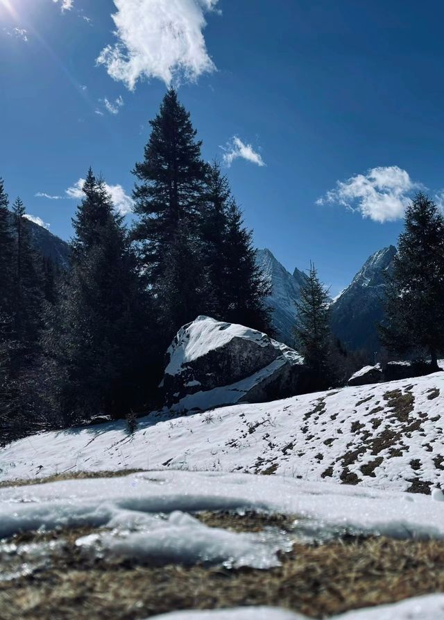 姊妹們來川西與雪來一次擁抱呗