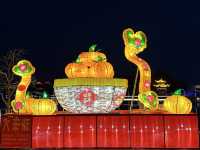 大德之州｜德州董子園步行街燈會之夜