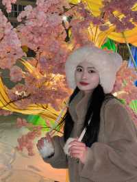 不會還有人沒去過鄭州二紗的新春燈會吧