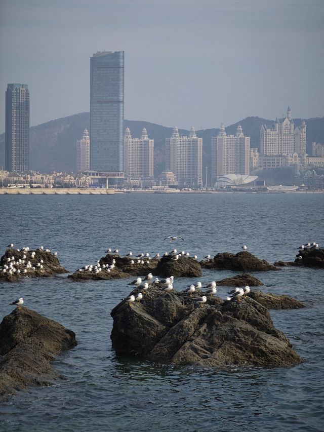 大連漫遊02 丨 東港&黑石礁&棒棰島&旅順口