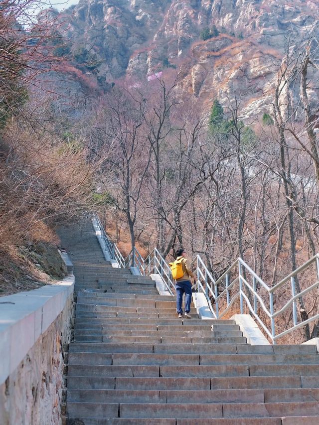 鄭州這個杏花山村快沖錯過再等一年