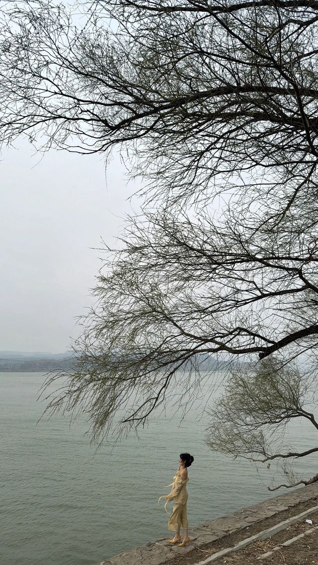 洛陽周邊水景除了陸渾，還有三門峽天鵝湖！