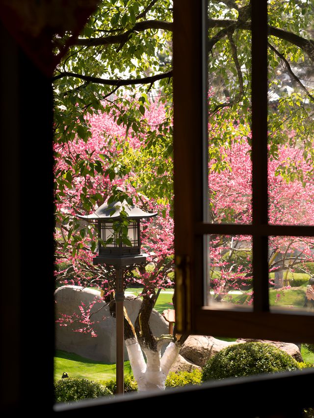 夢回大唐上海必打卡的晚唐風古寺|寶山寺