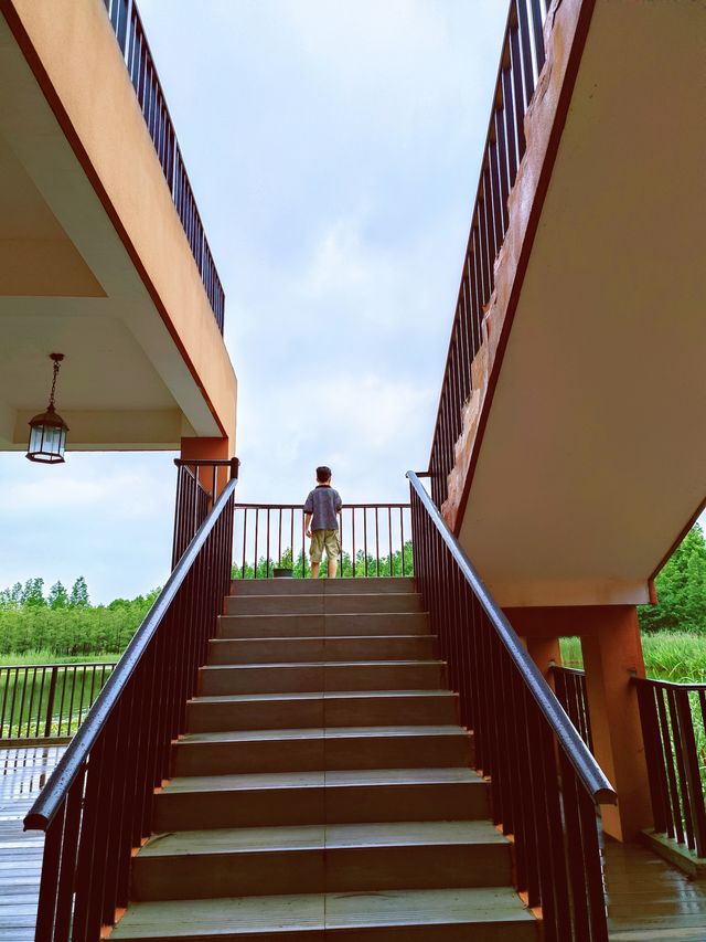 藏在濕地公園裡的寶藏民宿