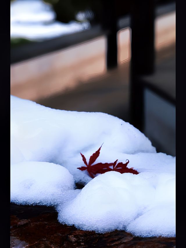 雪後揚州城|雪落千寒