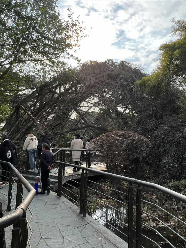 動物園一日遊，簡單易懂隨心攻略