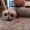 katy_456_Foster
