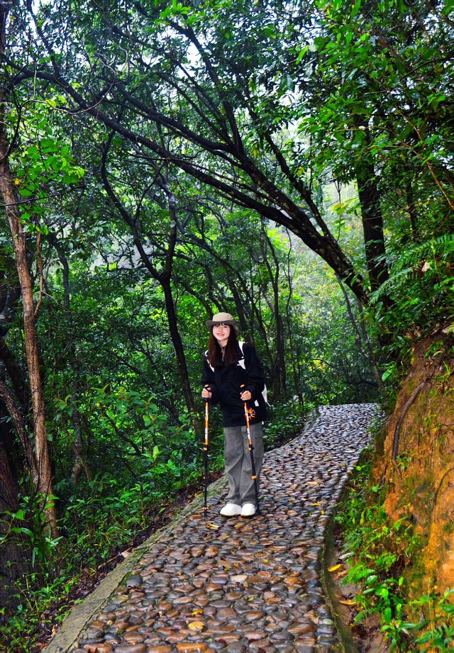 雨天徒步 ｜去山里聽雨 看迷霧森林