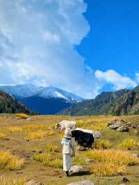 甘肅“小瑞士”，祁連山名不虛傳