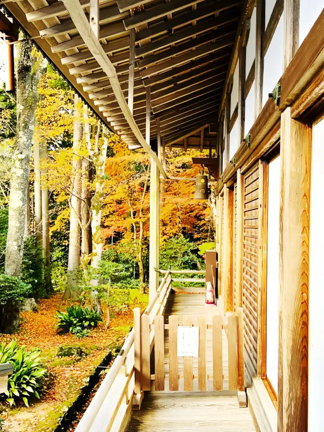 Sanzen-in, a lesser-known secret garden in Kyoto~