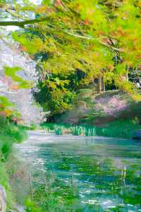 巔峰期TOP鼋頭渚已經終結了比賽(附攻略)