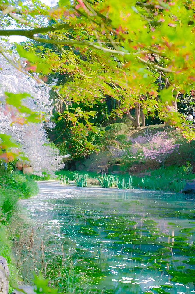 巔峰期TOP鼋頭渚已經終結了比賽(附攻略) 巔峰期TOP鼋頭渚已經終結了比賽(附攻略)