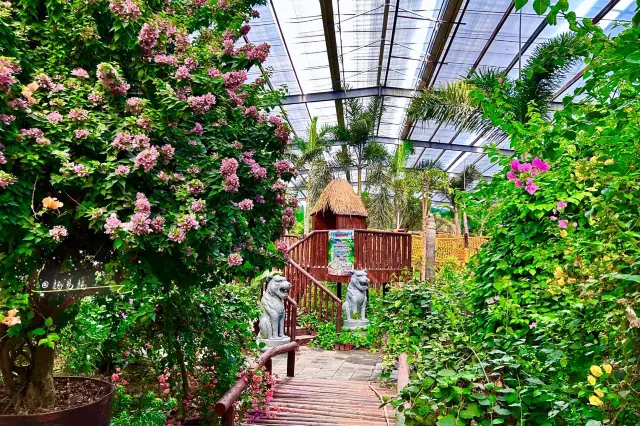 帶孩子就來北京小西雙版納